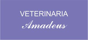 Veterinaria Amadeus
