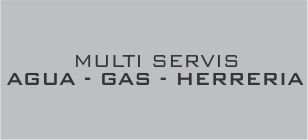 MultiServis